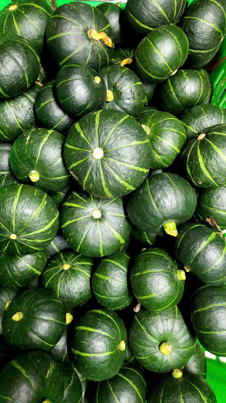 Bí ngô - Hợp Tác Xã Rau Sạch Nguyễn Minh